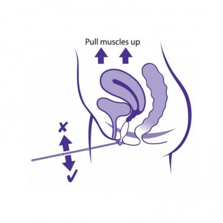 Periform Plus Intra-Vaginale Sonde