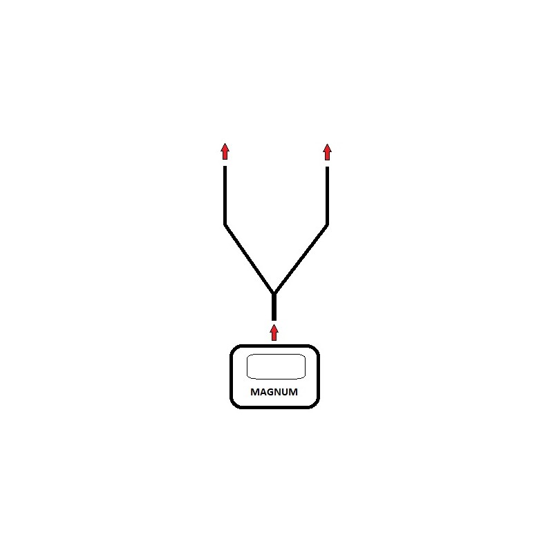 magnetfeldtherapie Globus Split-Kabel mit doppelter Verbindung